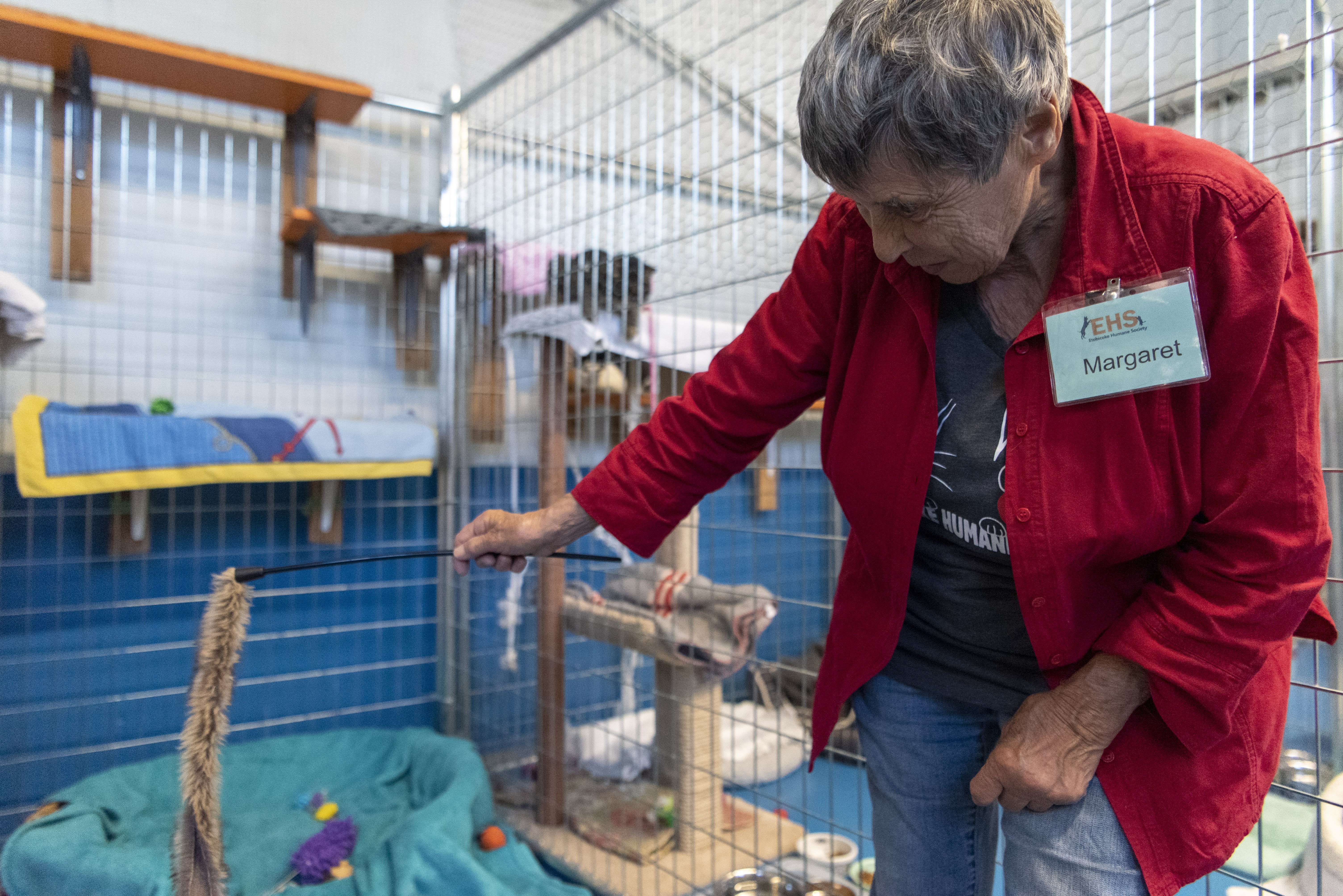 Etobicoke Humane Society open house gets donations from 265 shelter visitors