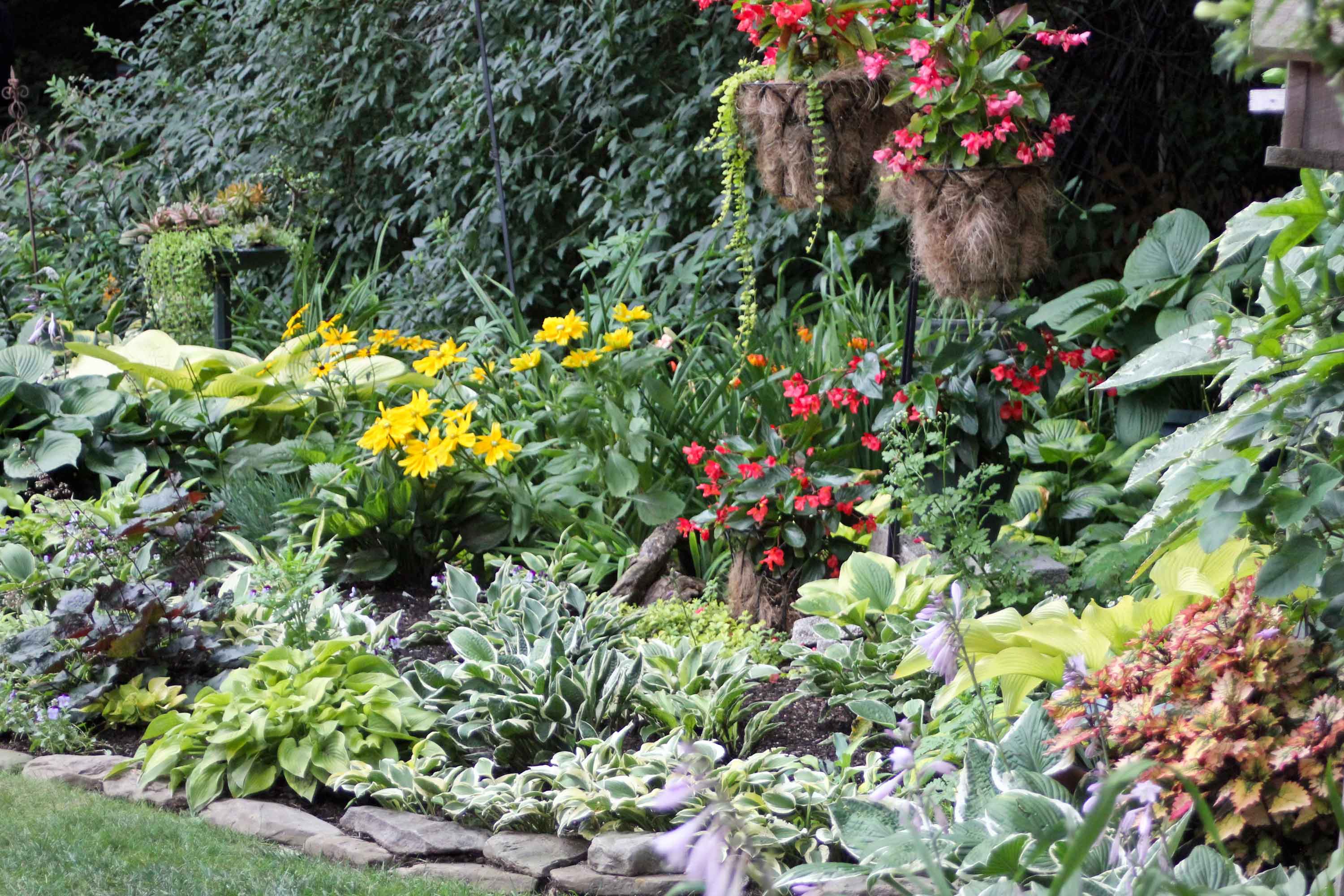 Plant a layered garden in Muskoka for a landscape lush and full of life ...
